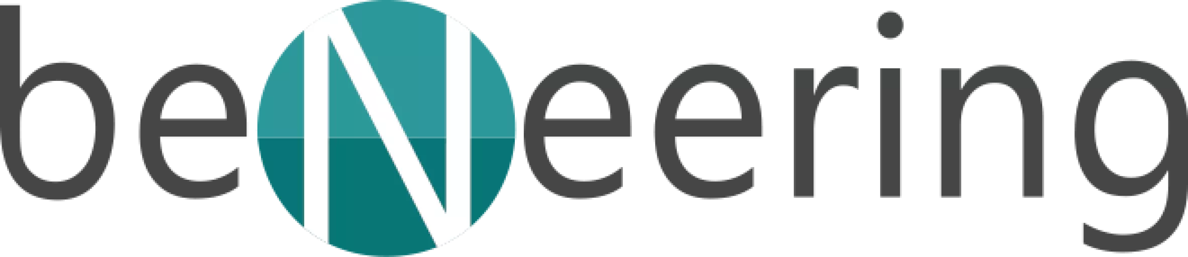 Logo firmy BeNeering.