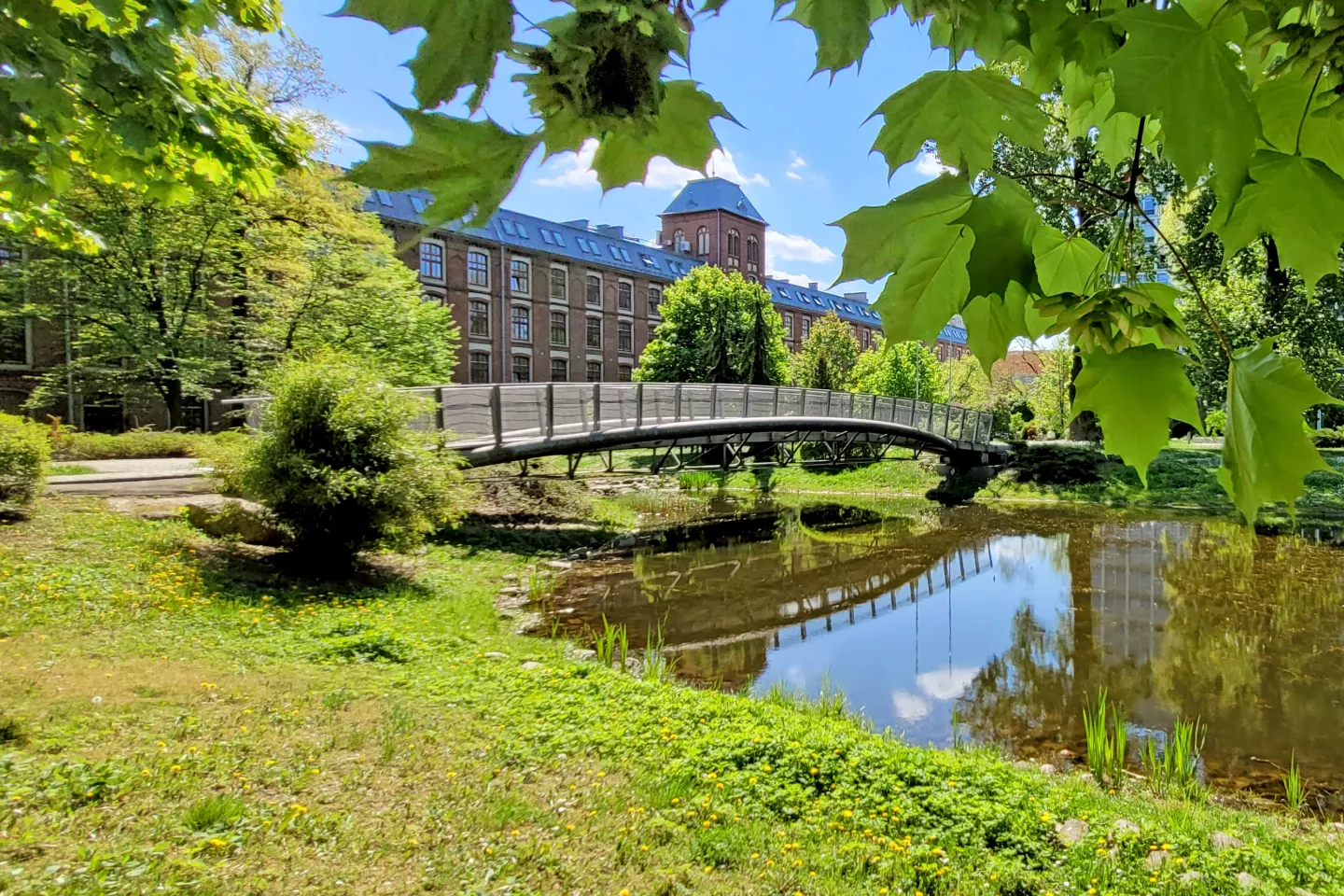 Widok na mostek na kampusie Politechniki Lodzkiej.