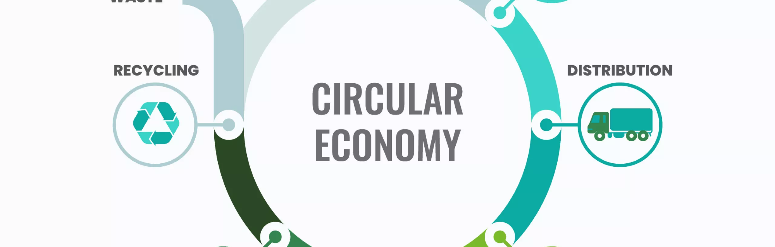 cyrkulacja ekonomia